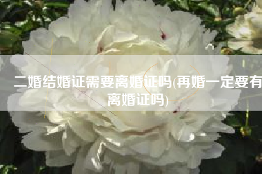 二婚结婚证需要离婚证吗(再婚一定要有离婚证吗)