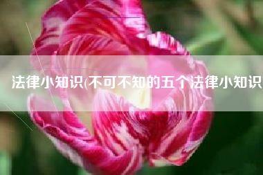 法律小知识(不可不知的五个法律小知识)
