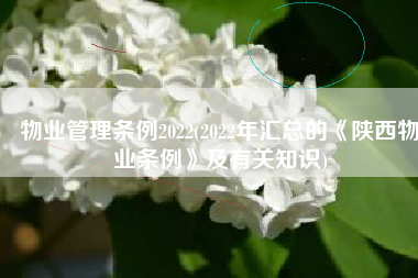 物业管理条例2022(2022年汇总的《陕西物业条例》及有关知识)