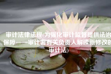 审计法律法规(为强化审计监督提供法治保障——审计署有关负责人解读新修改的审计法)