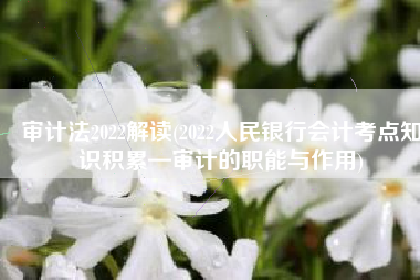 审计法2022解读(2022人民银行会计考点知识积累—审计的职能与作用)