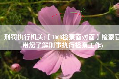 刑罚执行机关(【1008检察面对面】检察官带您了解刑事执行检察工作)