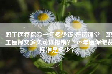 职工医疗保险一年多少钱(普法课堂｜职工医保交多久可以报销？2022年医保缴费标准是多少？)