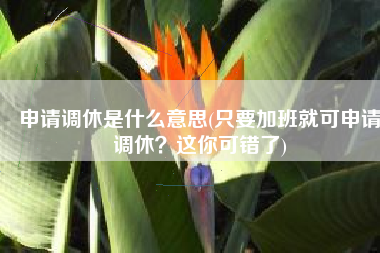 申请调休是什么意思(只要加班就可申请调休？这你可错了)
