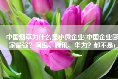 中国烟草为什么是小微企业(中国企业哪家最强？阿里、腾讯、华为？都不是)