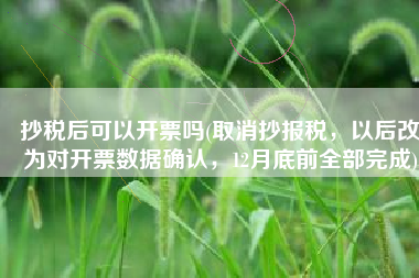 抄税后可以开票吗(取消抄报税，以后改为对开票数据确认，12月底前全部完成)
