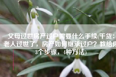 父母过世房产过户需要什么手续(干货：老人过世了，房产如何继承过户？教给你3个步骤，4种方法)