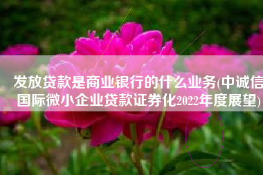 发放贷款是商业银行的什么业务(中诚信国际微小企业贷款证券化2022年度展望)
