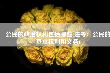 公民的政治权利包括哪些(法考：公民的基本权利和义务)