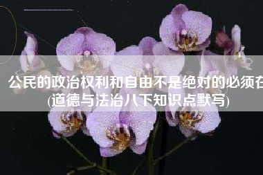 公民的政治权利和自由不是绝对的必须在(道德与法治八下知识点默写)