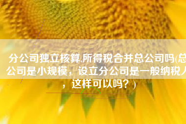 分公司独立核算,所得税合并总公司吗(总公司是小规模，设立分公司是一般纳税人，这样可以吗？)