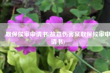 取保侯审申请书(故意伤害案取保候审申请书)