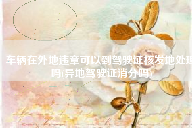 车辆在外地违章可以到驾驶证核发地处理吗(异地驾驶证消分吗)
