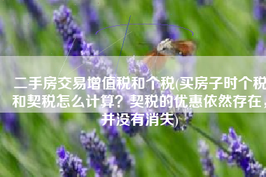 二手房交易增值税和个税(买房子时个税和契税怎么计算？契税的优惠依然存在，并没有消失)
