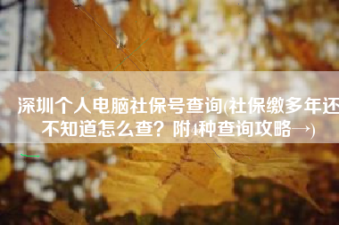 深圳个人电脑社保号查询(社保缴多年还不知道怎么查？附4种查询攻略→)