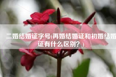 二婚结婚证字号(再婚结婚证和初婚结婚证有什么区别？)