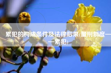累犯的构成条件及法律后果(量刑制度——累犯)