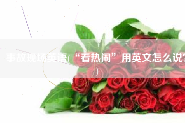 事故现场英语(“看热闹”用英文怎么说？)