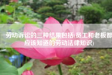 劳动诉讼的三种结果包括(员工和老板都应该知道的劳动法律知识)
