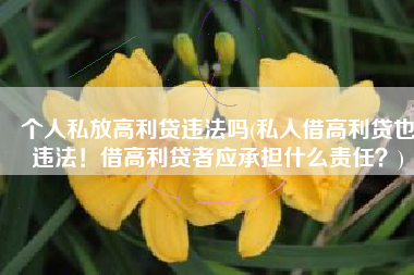 个人私放高利贷违法吗(私人借高利贷也违法！借高利贷者应承担什么责任？)