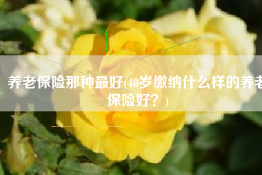 养老保险那种最好(40岁缴纳什么样的养老保险好？)