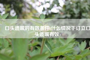 口头遗嘱的有效条件(什么情况下订立口头遗嘱有效)