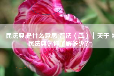 民法典,是什么意思(普法（二）｜关于《民法典》你了解多少？)