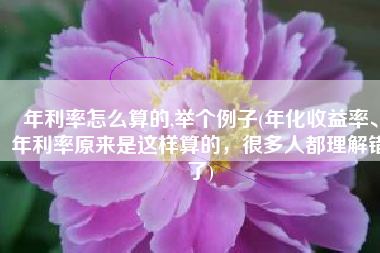 年利率怎么算的,举个例子(年化收益率、年利率原来是这样算的，很多人都理解错了)
