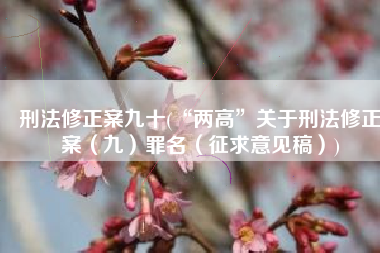 刑法修正案九十(“两高”关于刑法修正案（九）罪名（征求意见稿）)