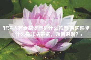 非法占有金融资产是什么意思(普法课堂 | 什么是非法集资，如何识别？)