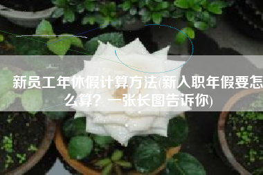 新员工年休假计算方法(新入职年假要怎么算？一张长图告诉你)
