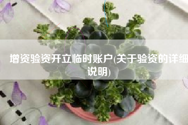 增资验资开立临时账户(关于验资的详细说明)