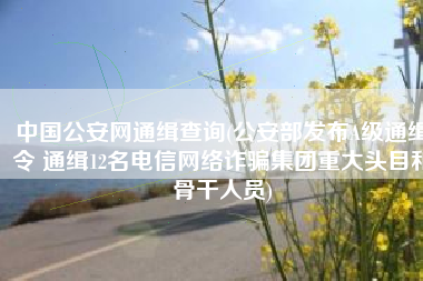 中国公安网通缉查询(公安部发布A级通缉令 通缉12名电信网络诈骗集团重大头目和骨干人员)