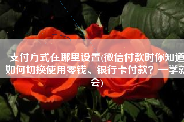 支付方式在哪里设置(微信付款时你知道如何切换使用零钱、银行卡付款？一学就会)