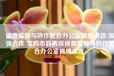 侦查监督与协作配合办公室揭牌讲话(强强合作 宝鸡市县两级侦查监督与协作配合办公室揭牌成立)