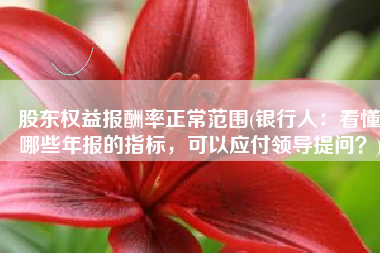 股东权益报酬率正常范围(银行人：看懂哪些年报的指标，可以应付领导提问？)