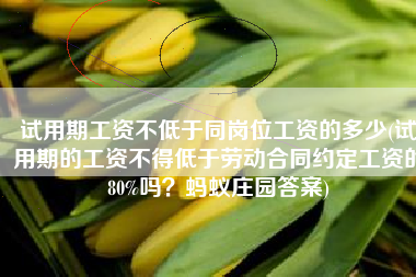 试用期工资不低于同岗位工资的多少(试用期的工资不得低于劳动合同约定工资的80%吗？蚂蚁庄园答案)