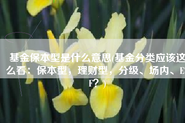 基金保本型是什么意思(基金分类应该这么看：保本型，理财型，分级、场内、ETF？)