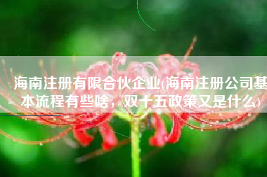 海南注册有限合伙企业(海南注册公司基本流程有些啥，双十五政策又是什么)