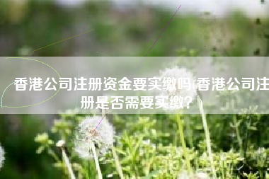 香港公司注册资金要实缴吗(香港公司注册是否需要实缴？)