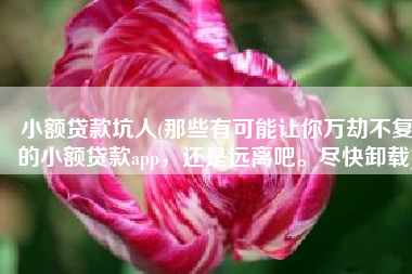小额贷款坑人(那些有可能让你万劫不复的小额贷款app，还是远离吧。尽快卸载)