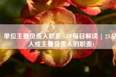 单位主要负责人职责(GVP每日解读 | 23 法人或主要负责人的职责)