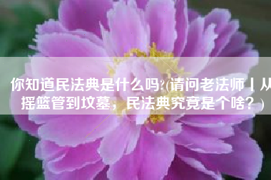 你知道民法典是什么吗?(请问老法师丨从摇篮管到坟墓，民法典究竟是个啥？)