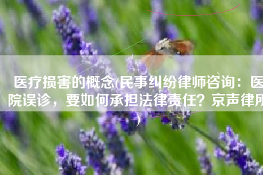 医疗损害的概念(民事纠纷律师咨询：医院误诊，要如何承担法律责任？京声律所)