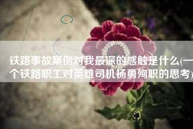 铁路事故案例对我最深的感触是什么(一个铁路职工对英雄司机杨勇殉职的思考)
