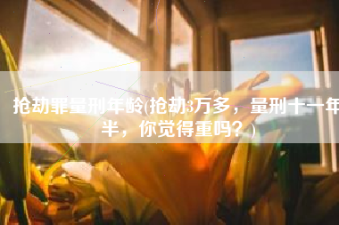 抢劫罪量刑年龄(抢劫3万多，量刑十一年半，你觉得重吗？)