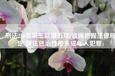 刑法236条第三款第五项(准确把握法律规定 依法惩治性侵未成年人犯罪)