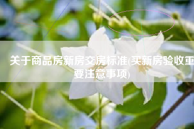 关于商品房新房交房标准(买新房验收重要注意事项)
