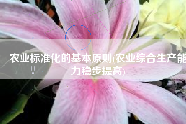 农业标准化的基本原则(农业综合生产能力稳步提高)