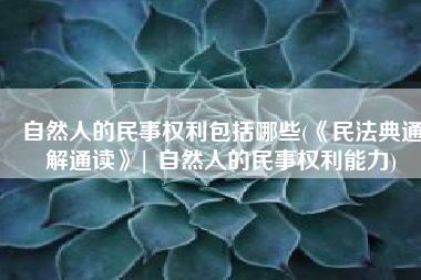 自然人的民事权利包括哪些(《民法典通解通读》| 自然人的民事权利能力)